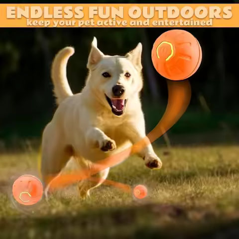 Smart Bouncing Electric Pet Ball, Automatic Random
